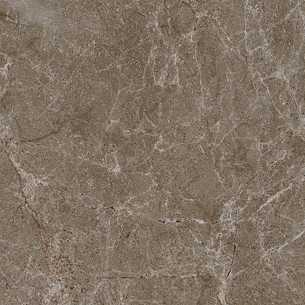 BLASON BROWN