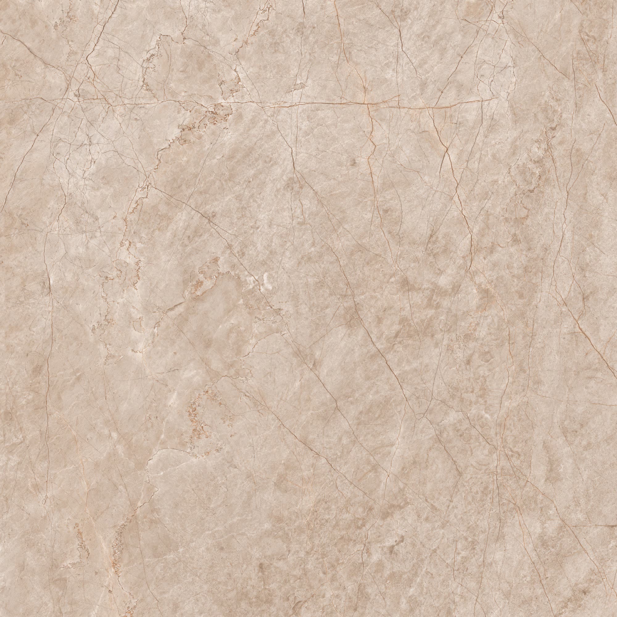 NUEVA PERTH BROWN FP