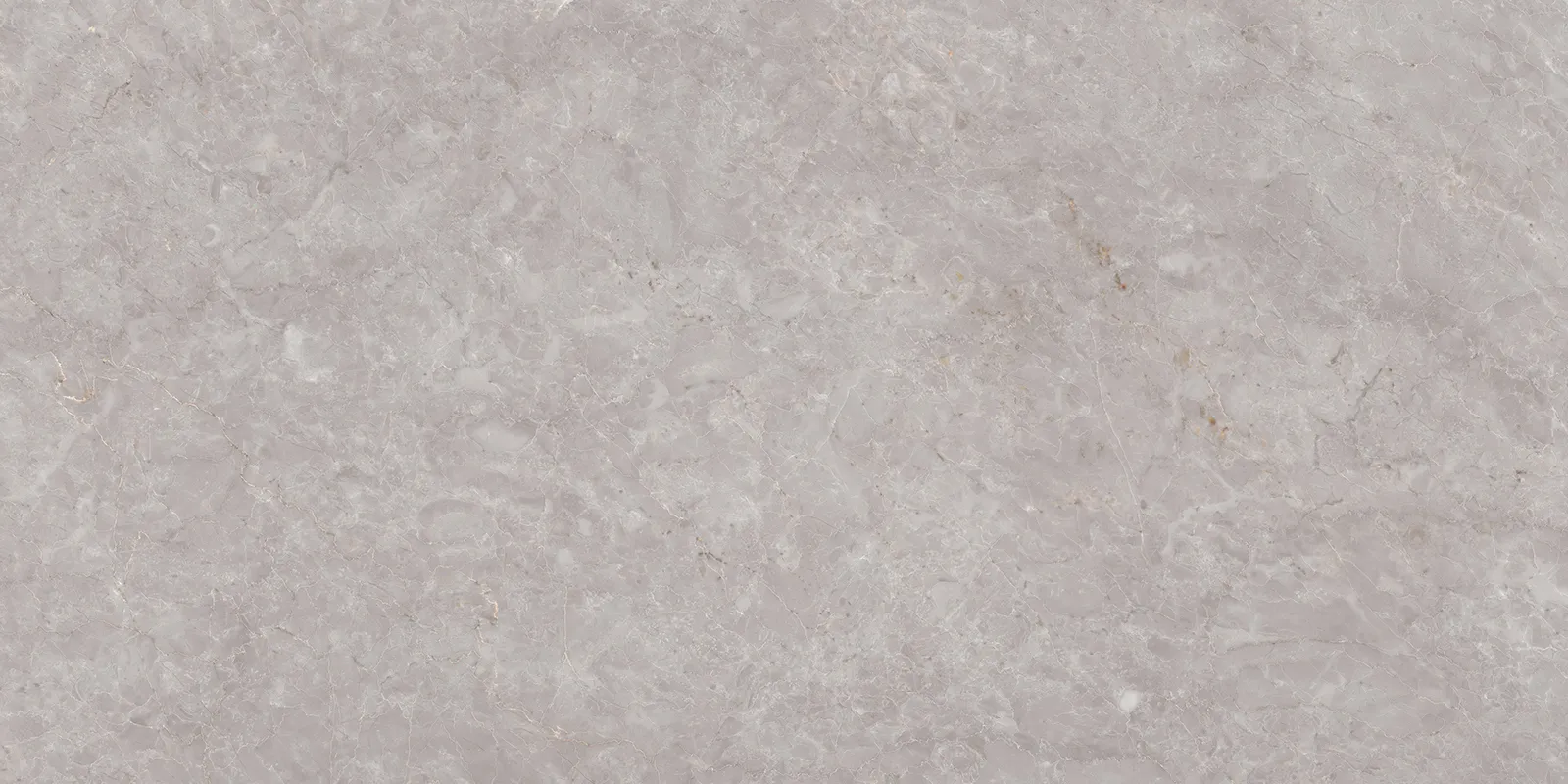 GRAN VANILLA GREY FP V4 tiles for Floor