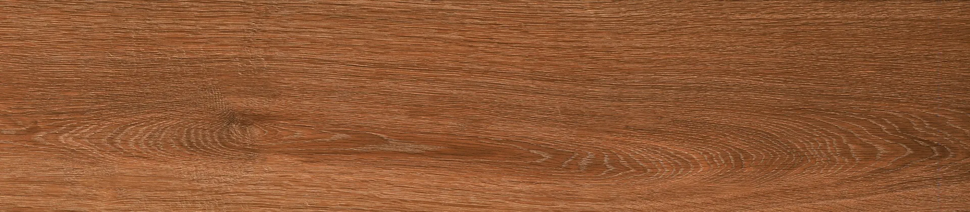 ESSENTIA TIBETIAN WOOD WALNUT tiles for Wall, Floor — Somany Wood Essentia collection