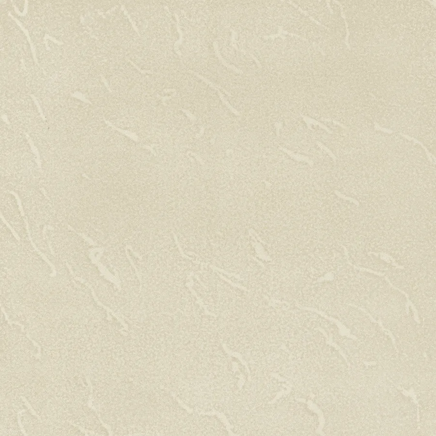 NANO LIVA VERVE PVT for Floor — Somany Soluble Salt collection
