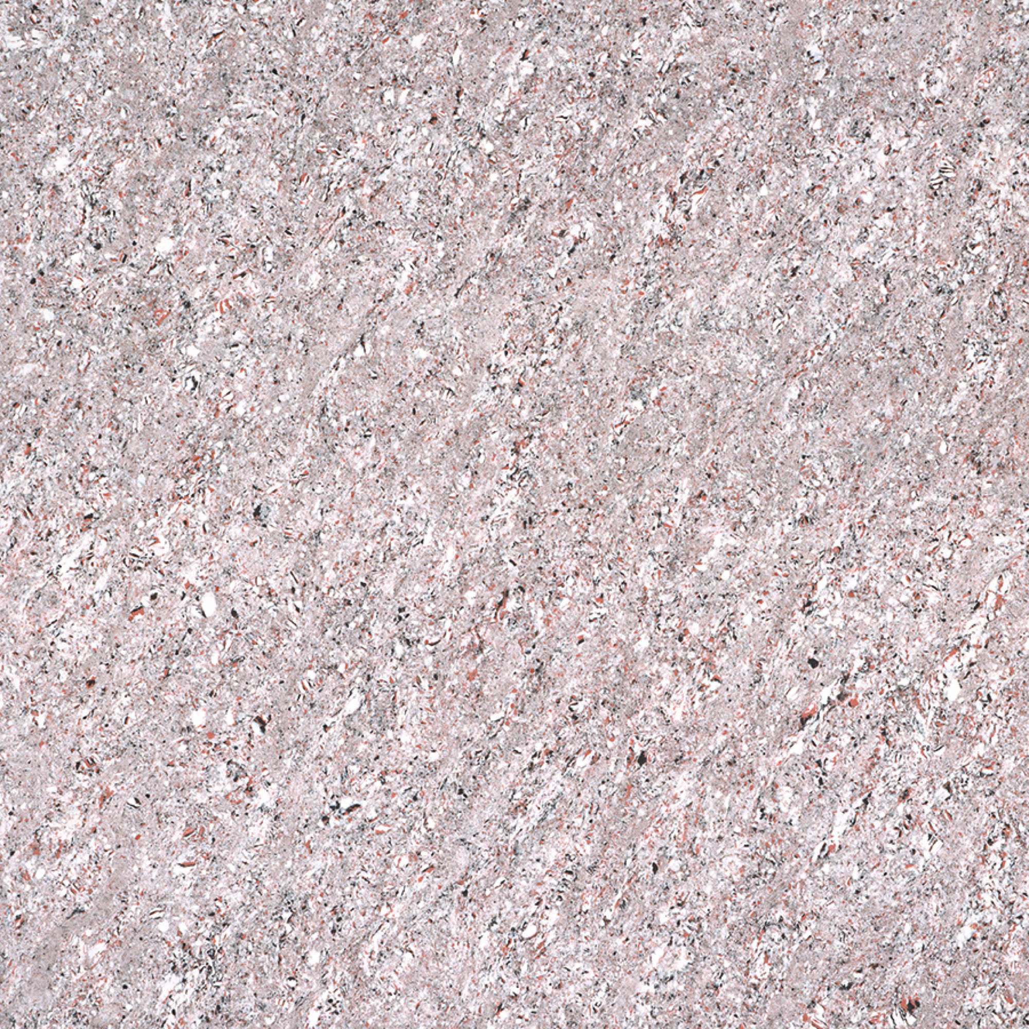 ASTONIA CHERRY