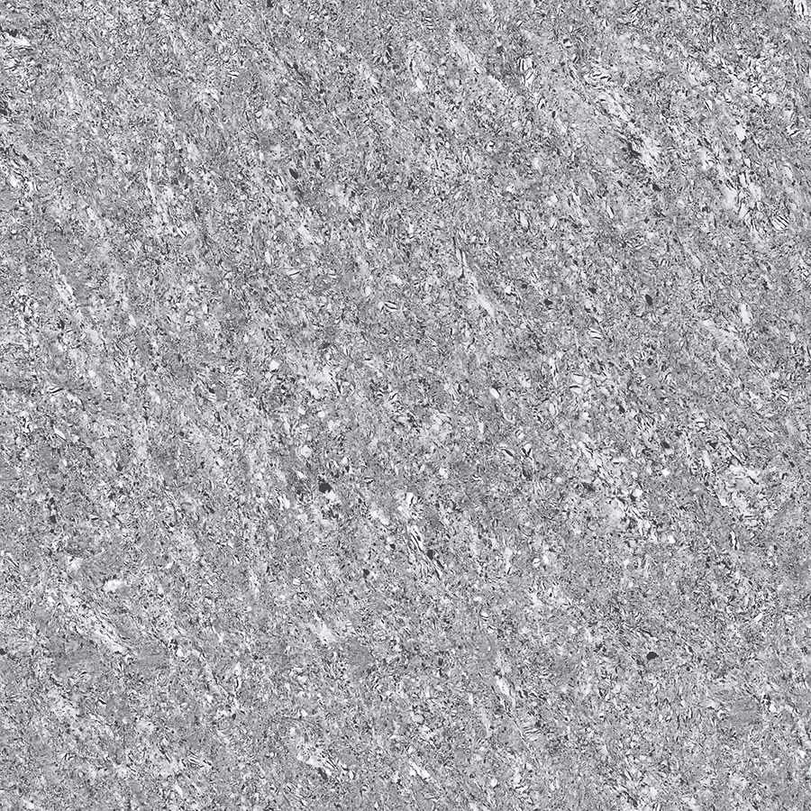 ASTONIA GREY