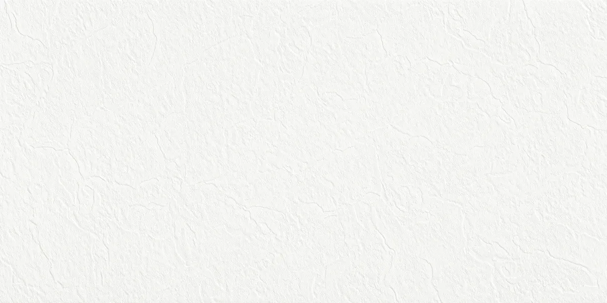FB DAZEL SUPER WHITE STONE tiles for Floor — Somany TECH HOMOGENEA collection