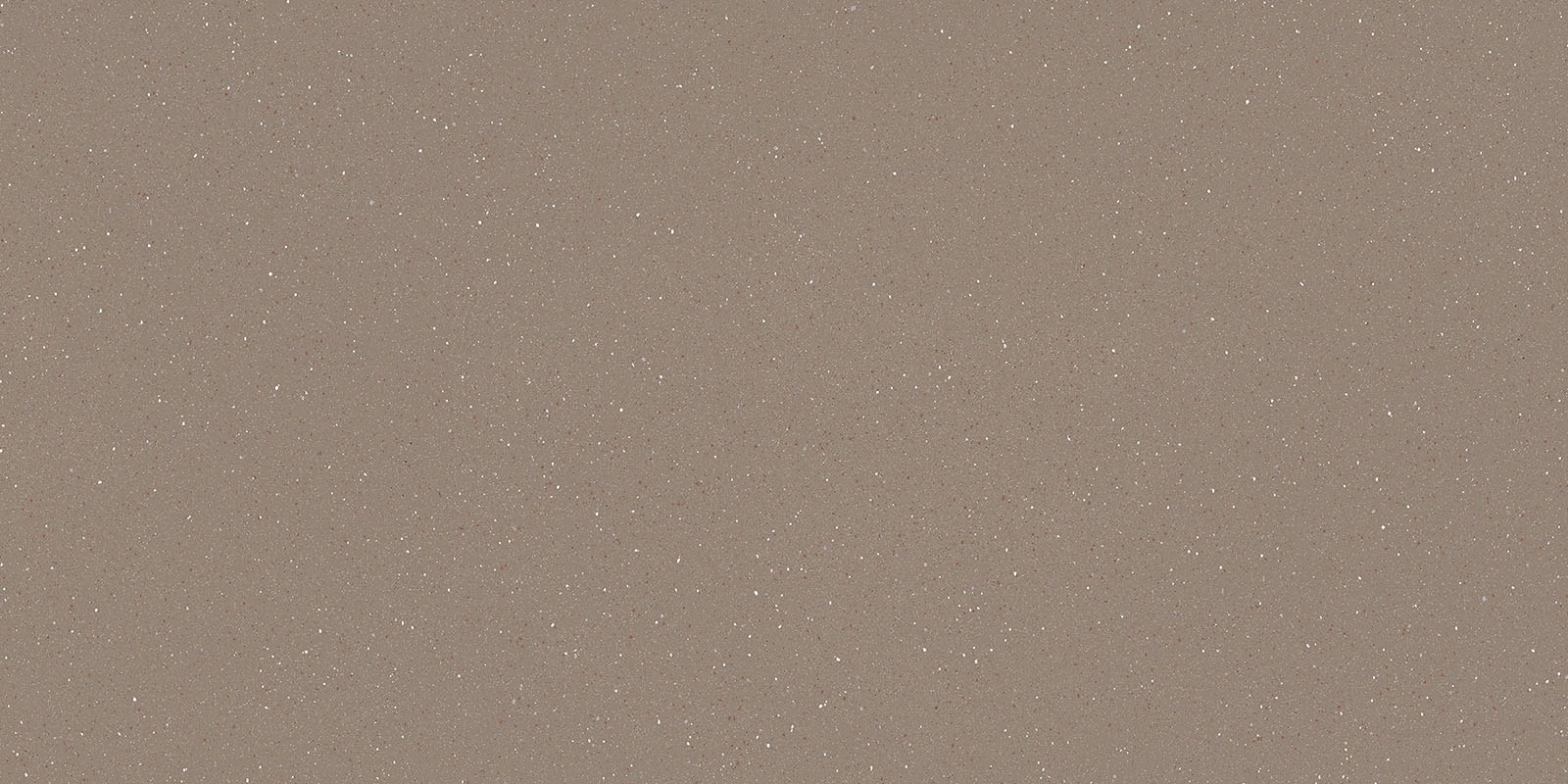 FB NOVATO SAGA BARLEY POLISH