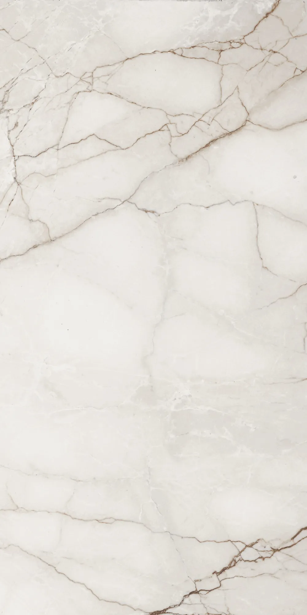 GRANDE AVENUE SEGESTA CREMA FP tiles for Wall, Floor — Somany Digital Gvt Polished collection