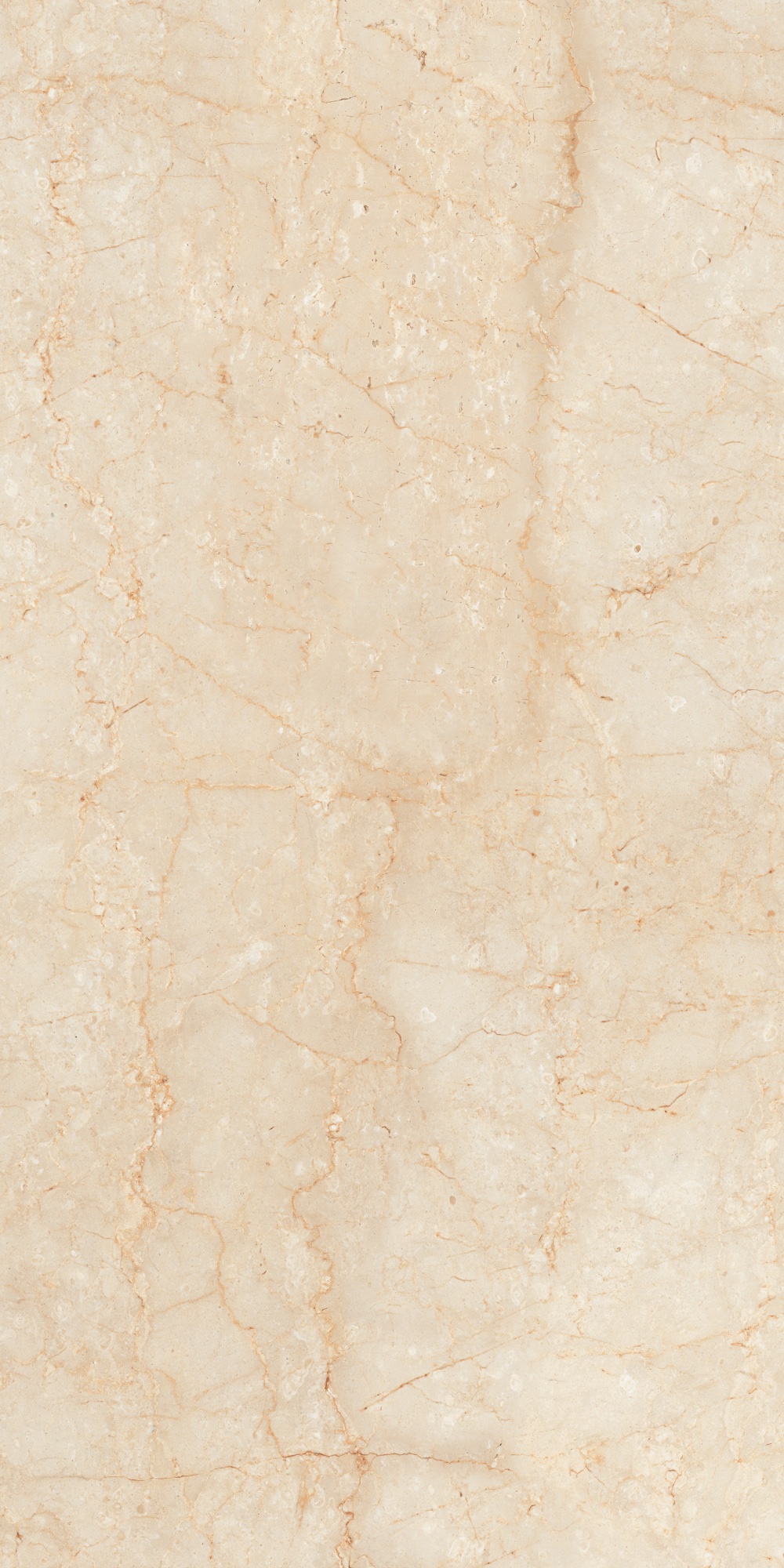 GRANDE ROCK BOTTOCHINO BEIGE FP