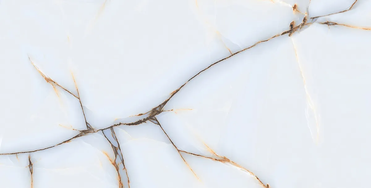 ASPIRE GRANDE DELMONTE SILVER FP tiles for Wall, Floor — Somany ASPIRE collection