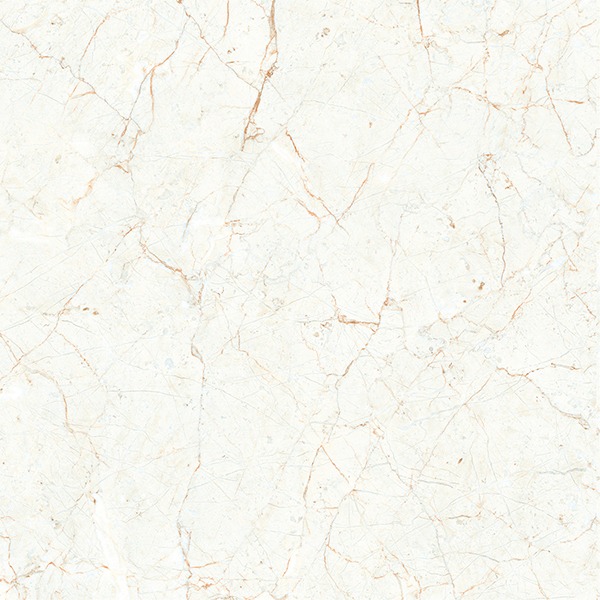 ROSSALIA FP