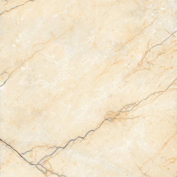 SEGESTA GOLD FP