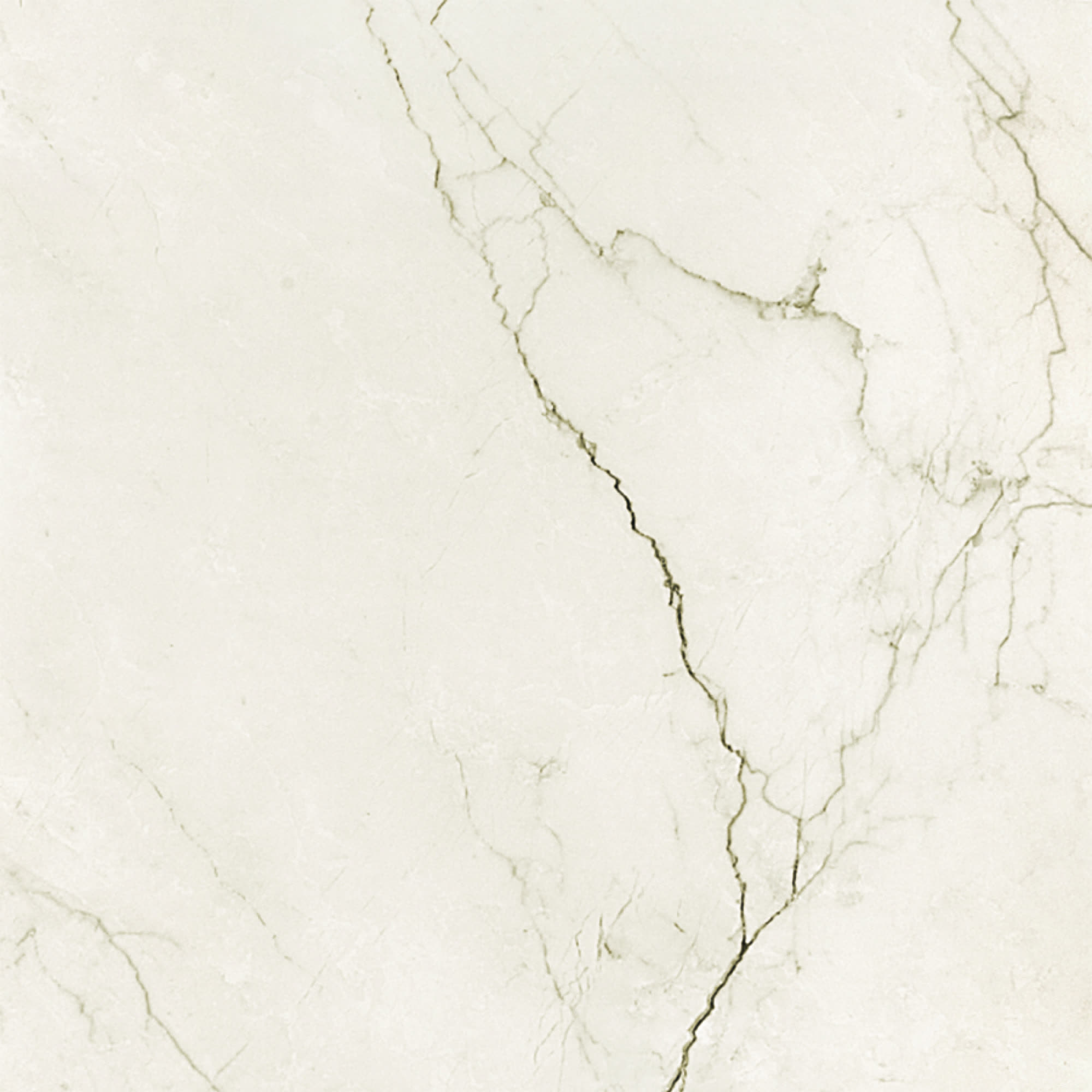 GS SEGESTA BIANCA VC