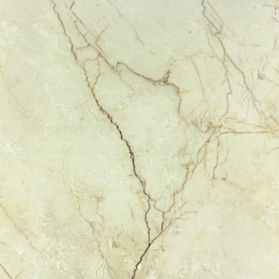 GS SEGESTA GOLD VC