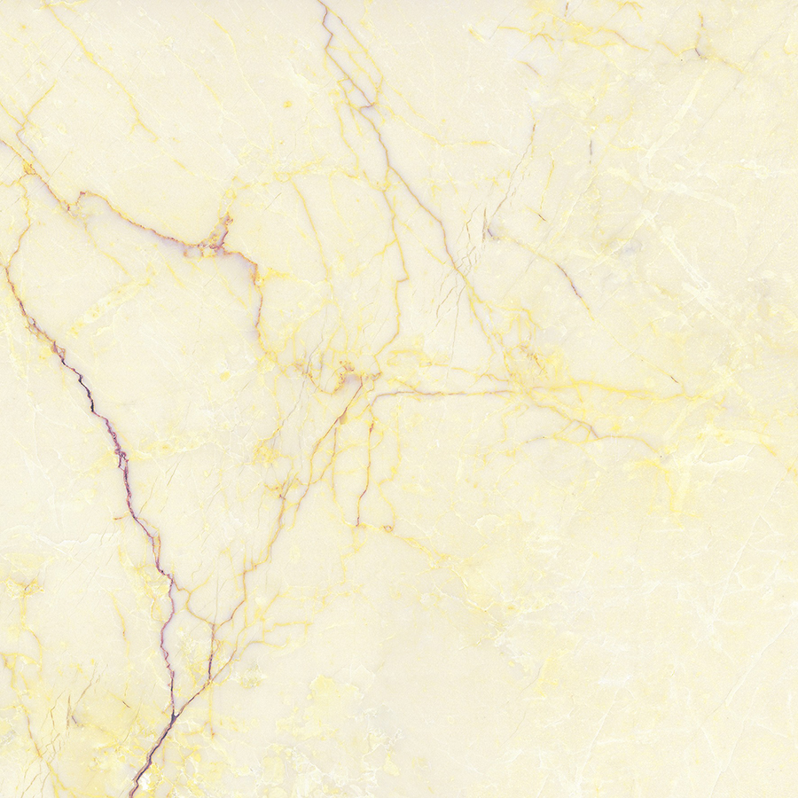 MISMA SEGESTA GOLD FP