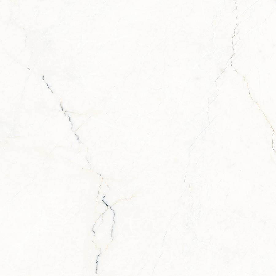 MISMA SEGESTA BIANCO VC