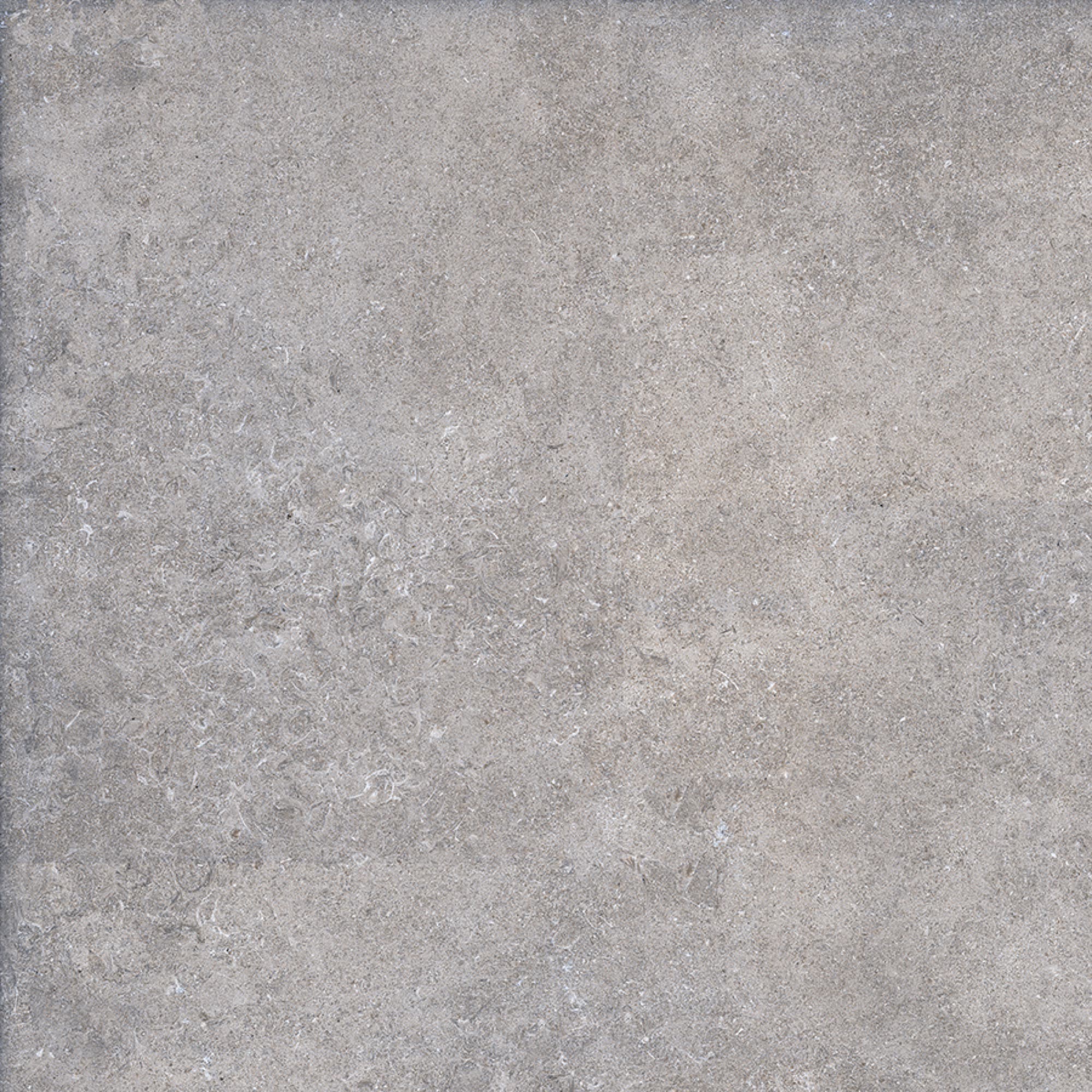 MISMA ESCARA GREY DARK VC