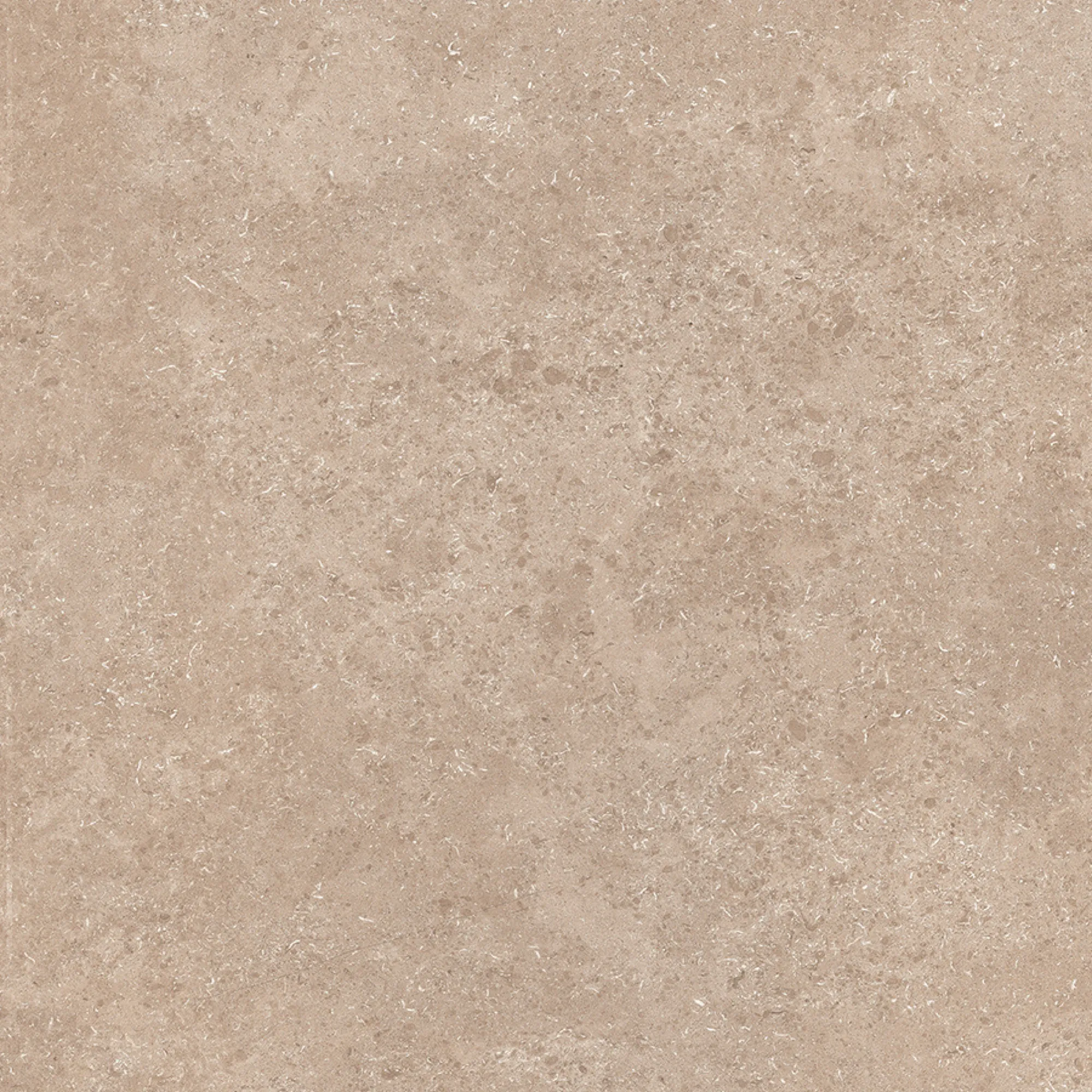 VALOR SANDSTONE BROWN SS tiles for Wall, Floor — Somany VALOR collection