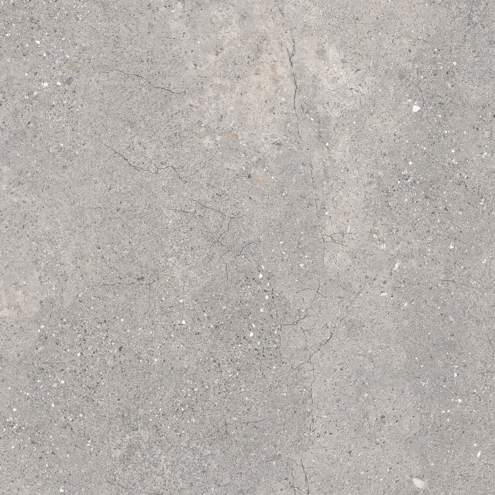ROCKSTONE LIZON SILVER
