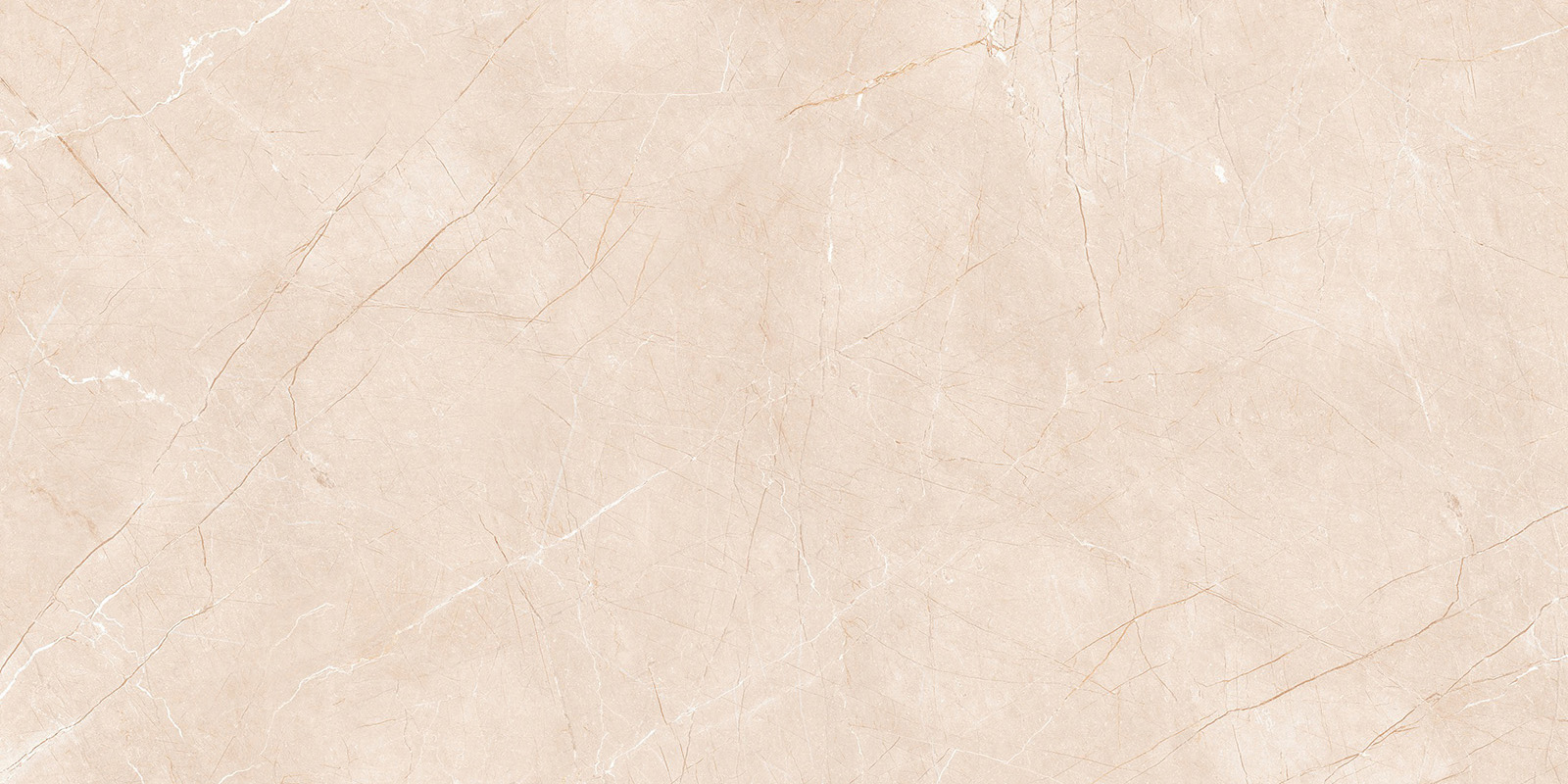 ENORME LIEM BEIGE FP