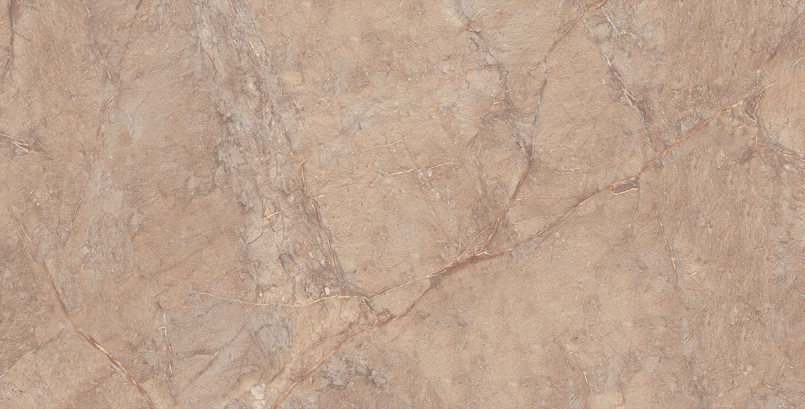 ENORME IMPRESSION LYCRA BROWN