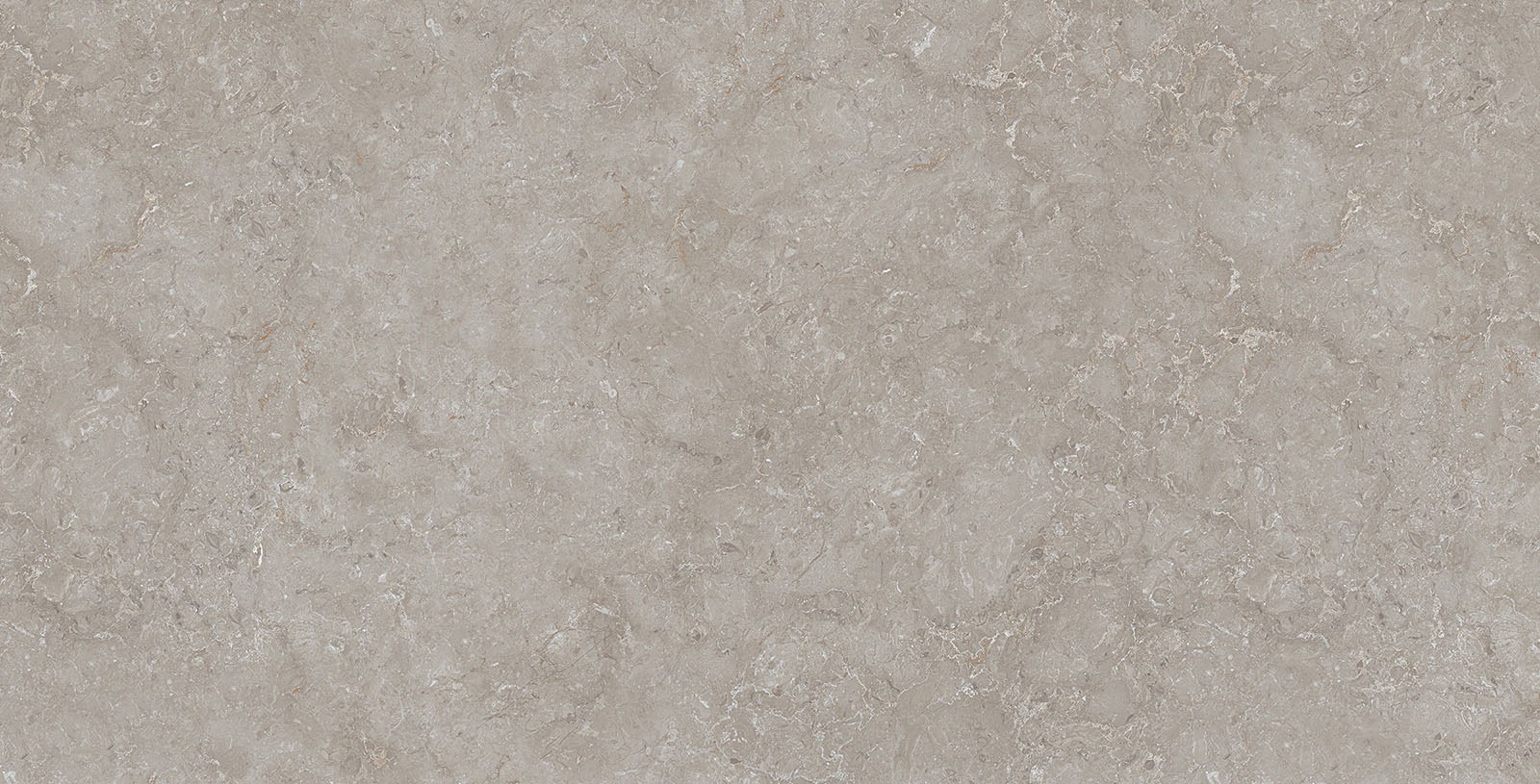 ENORME ARCHER GREY FP
