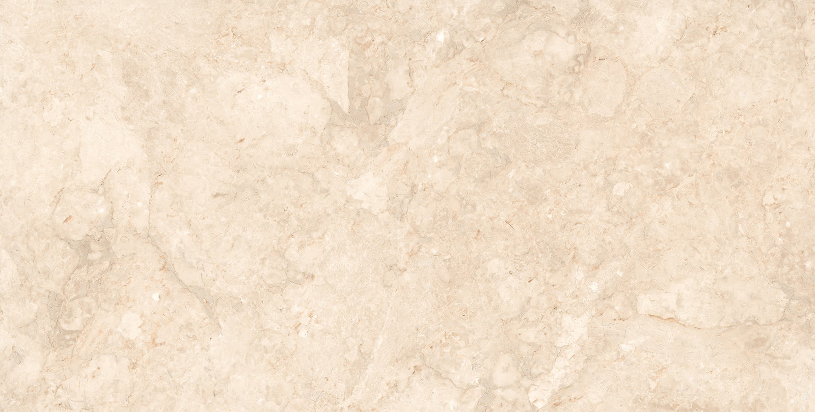 ENORME ZOLTAR BEIGE FP