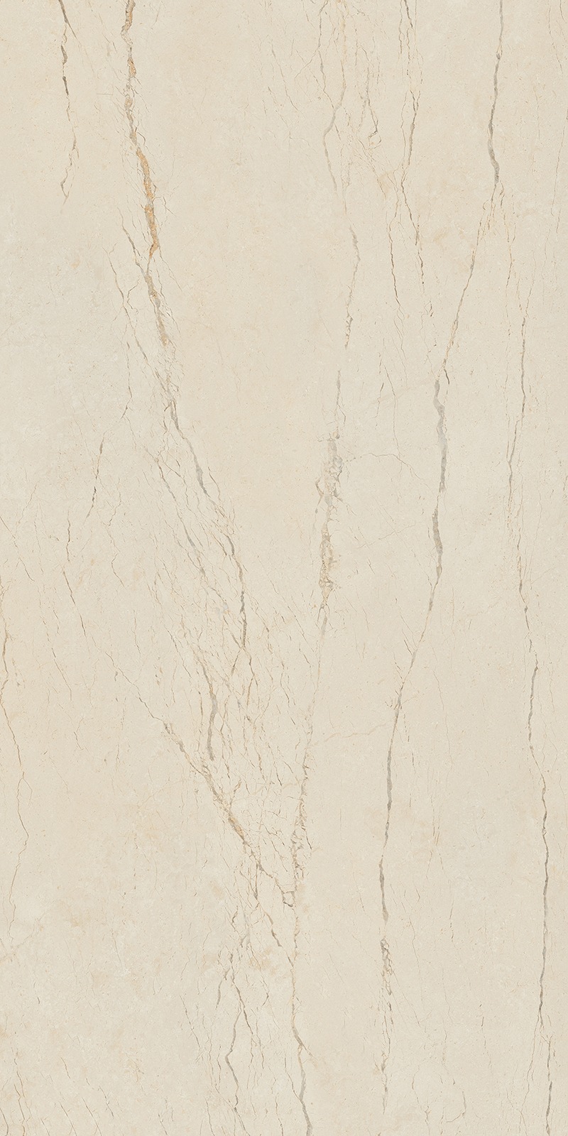 ENORME KS ARPINO IVORY FP
