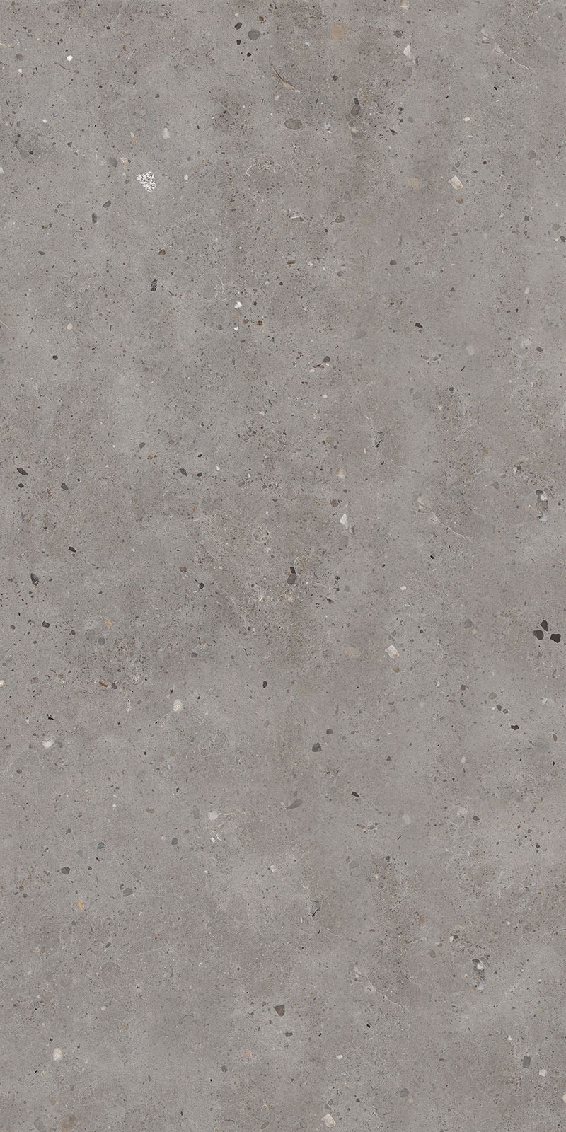 ENORME KS IMP ORBINO GREY