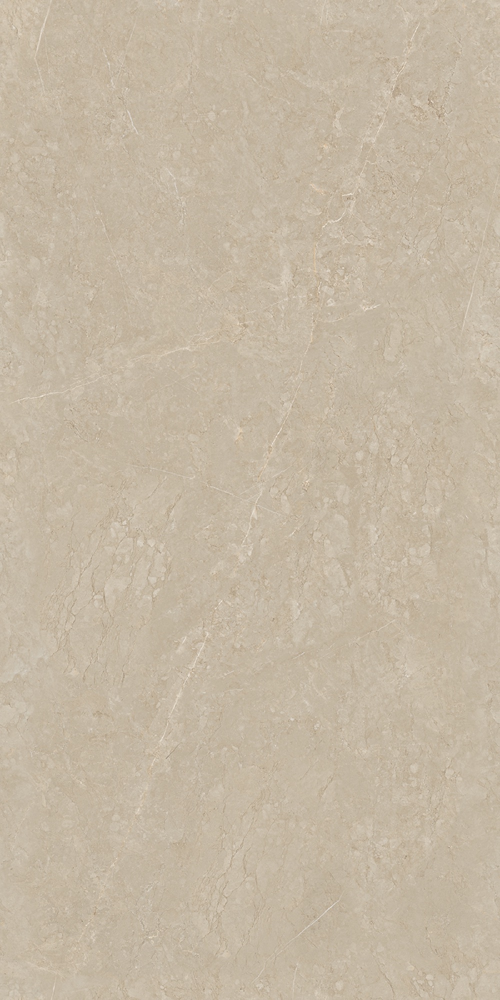 ENORME EL VENOSA BEIGE FP