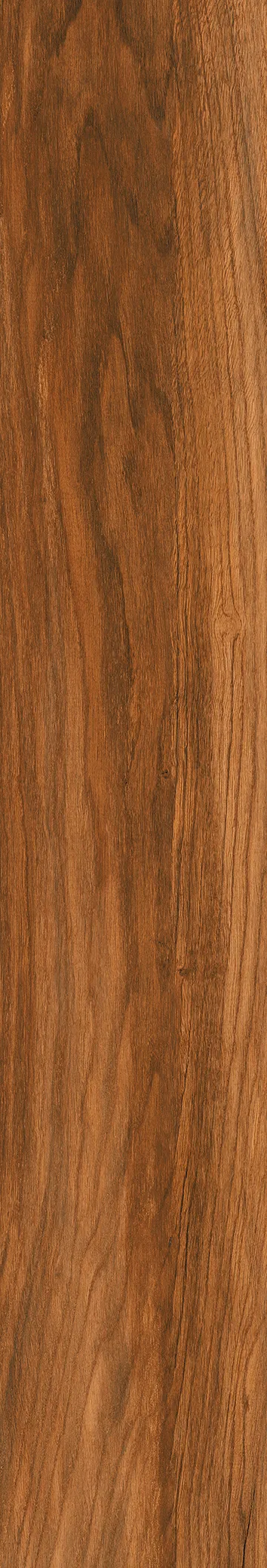 STRIO VALOR POLE WOOD BROWN GVT for Wall, Floor — Somany PLANKS collection