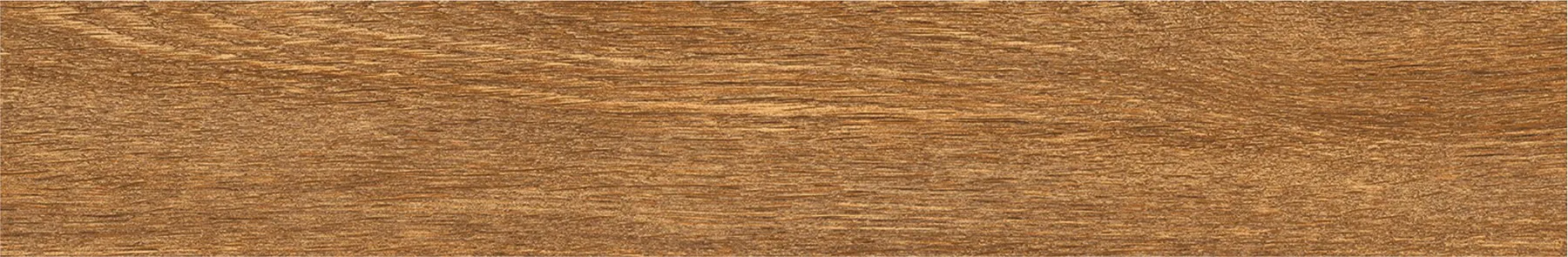 STRIO NEWPORT WOOD tiles for Wall, Floor — Somany PLANKS collection