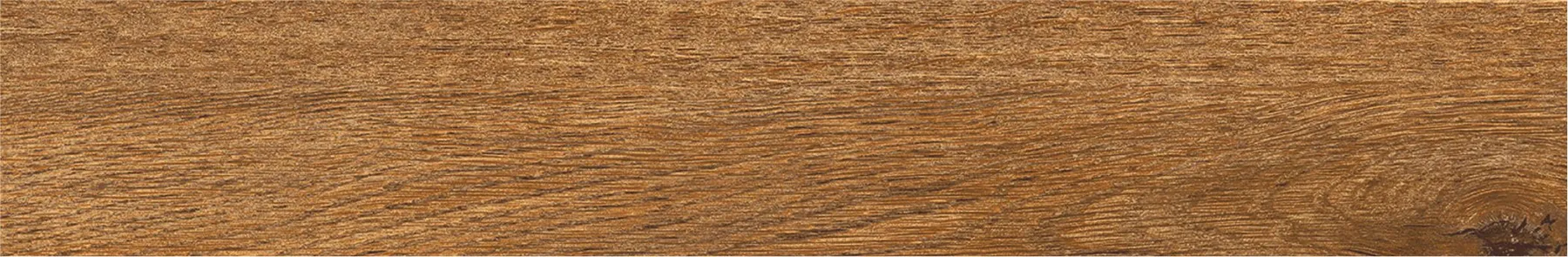 STRIO NEWPORT WOOD tiles for Wall, Floor — Somany PLANKS collection