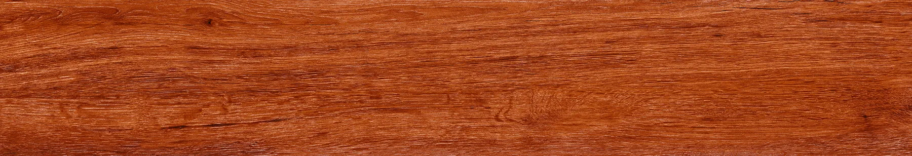 STRIO AKONA WOOD ROBBLE tiles for Wall, Floor — Somany Planks collection