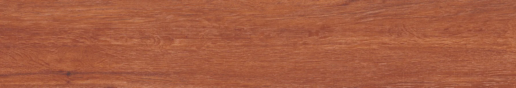 STRIO AKONA WOOD ROBBLE tiles for Wall, Floor — Somany Planks collection