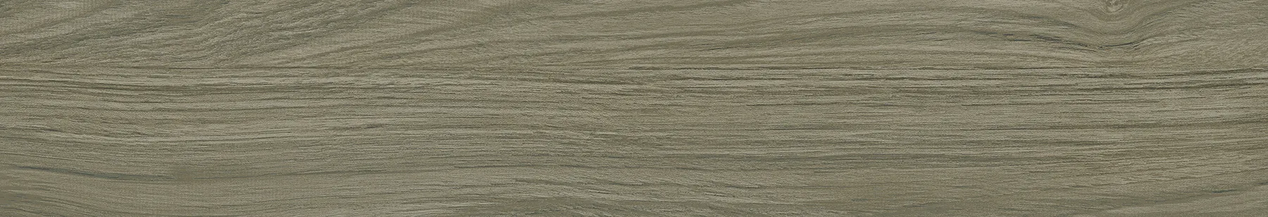 STRIO CANARIUM WOOD GREY tiles for Wall, Floor — Somany Planks collection