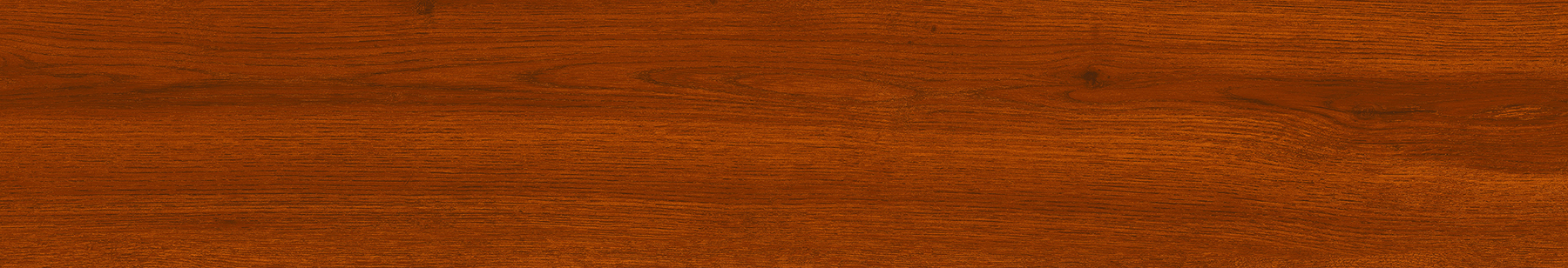 STRIO TASMANIAN WOOD ROBBLE