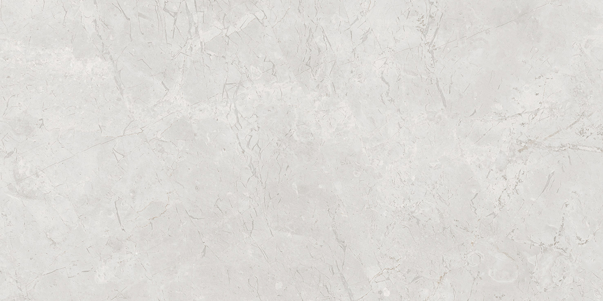 VIVO IMP ASAHI GREY