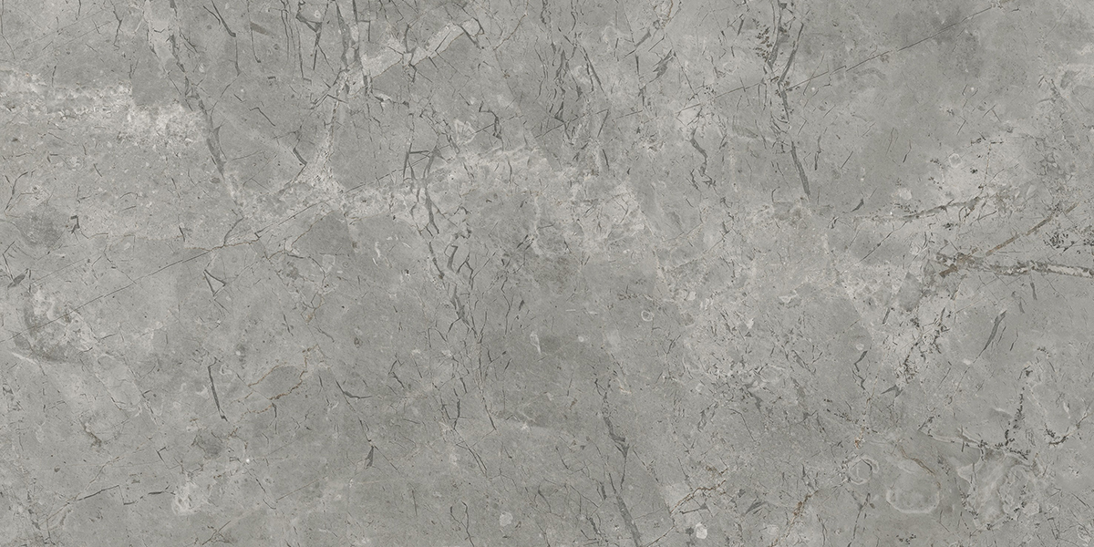 VIVO IMP ASAHI GRIS