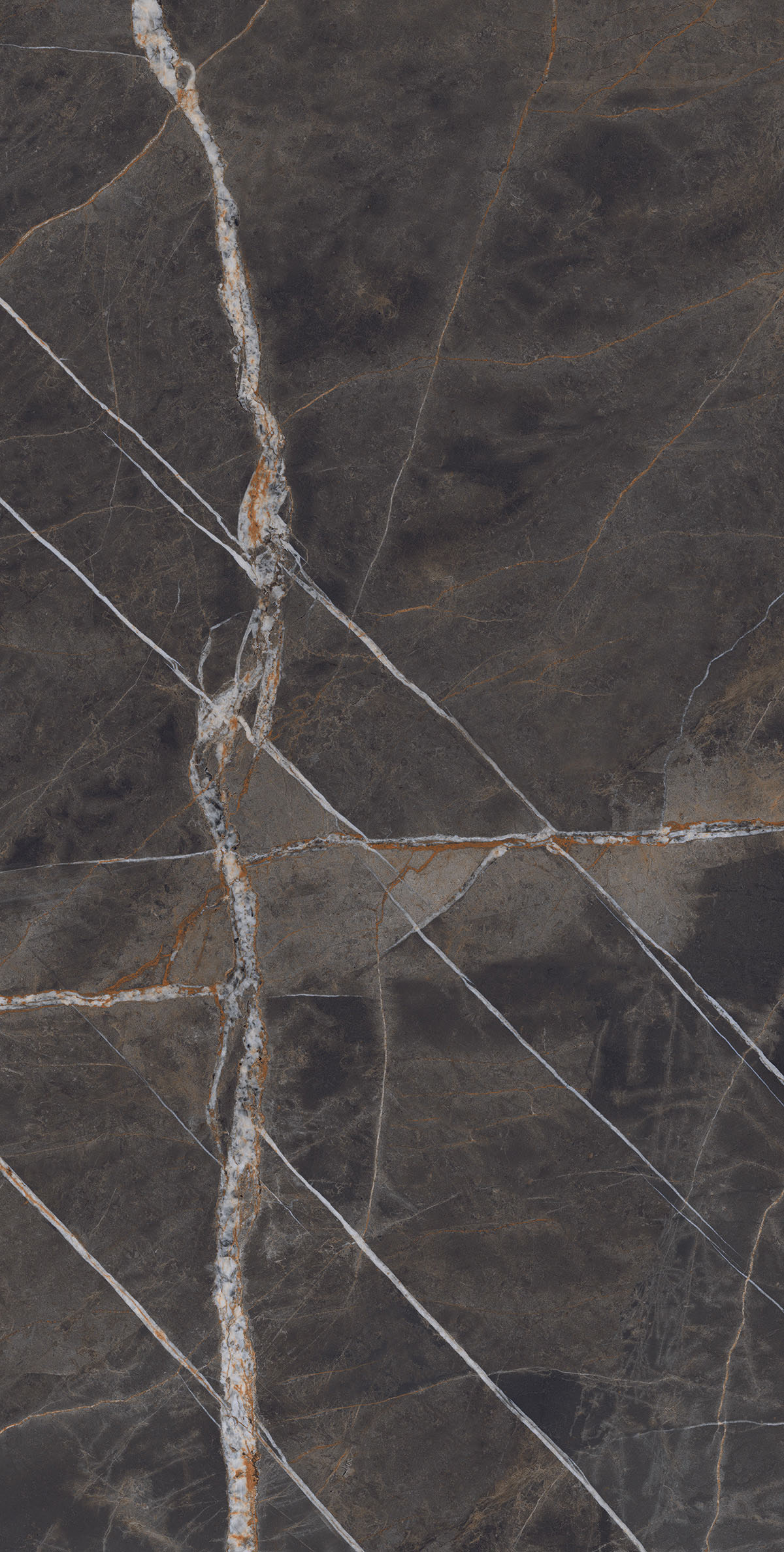 SAHARA BRONZE 240 LUCIDO FP V2 Slab for Wall, Floor — Somany Regalia collection