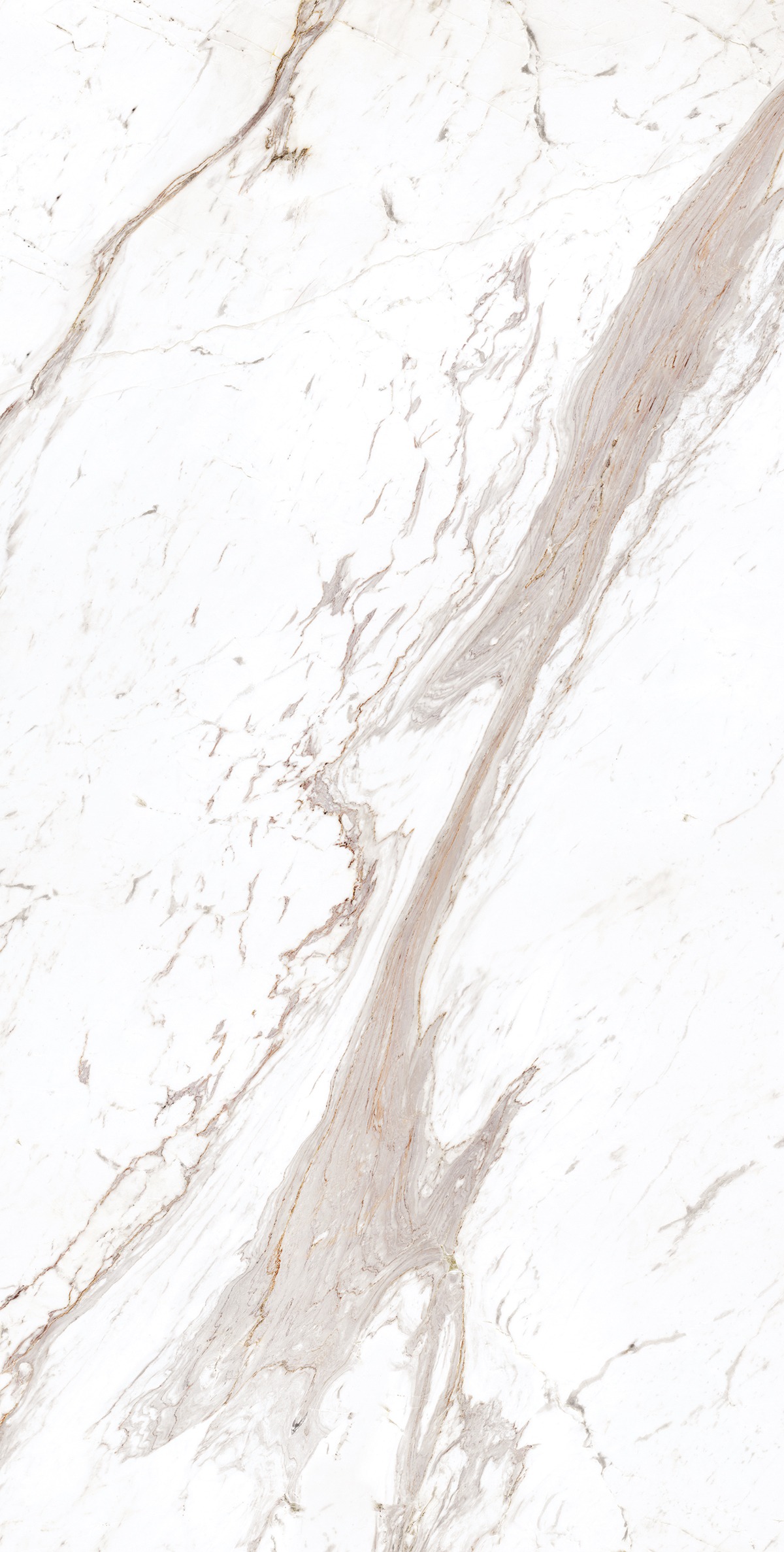 LEXINTON WHITE 240 FP V2