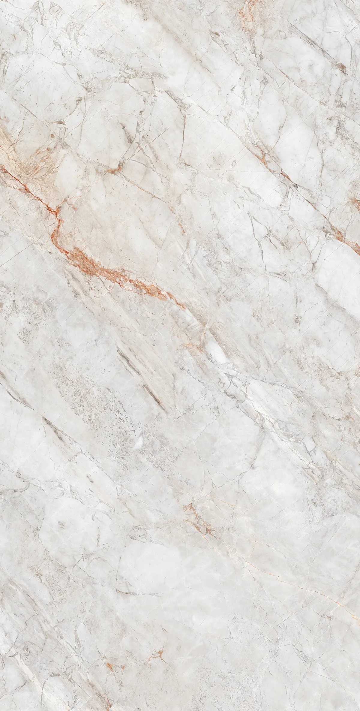TITANIO ROSA 240 PLUME MT V2 tiles for Wall, Floor — Somany Regalia collection