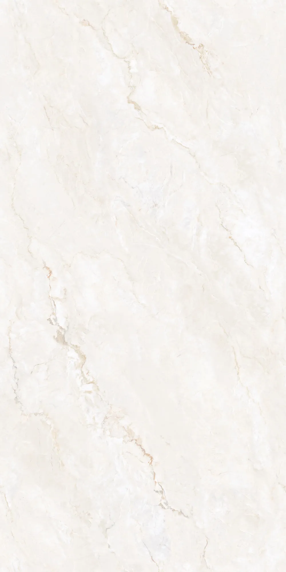 CITADEL IVORY 240 SLAB for Wall, Floor — Somany MAX LINE collection