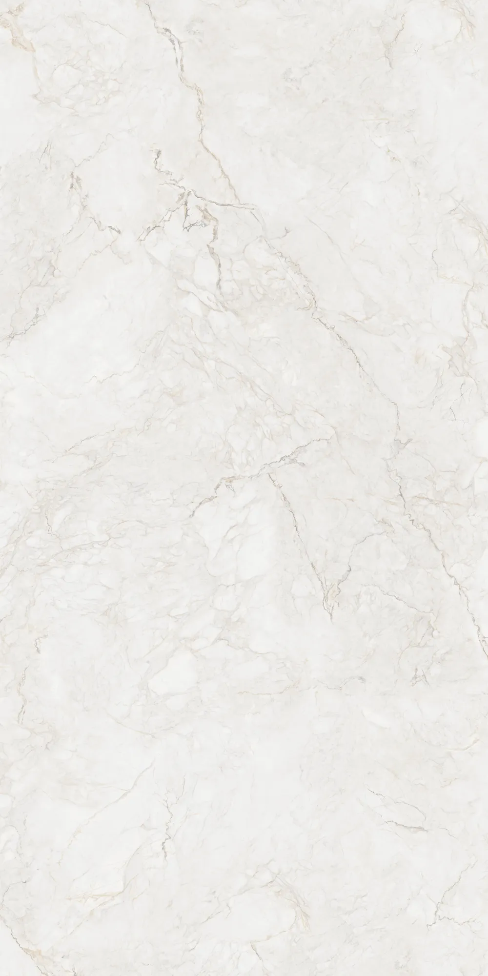 ROMANO PEARL 240 SLAB for Wall, Floor — Somany MAX LINE collection