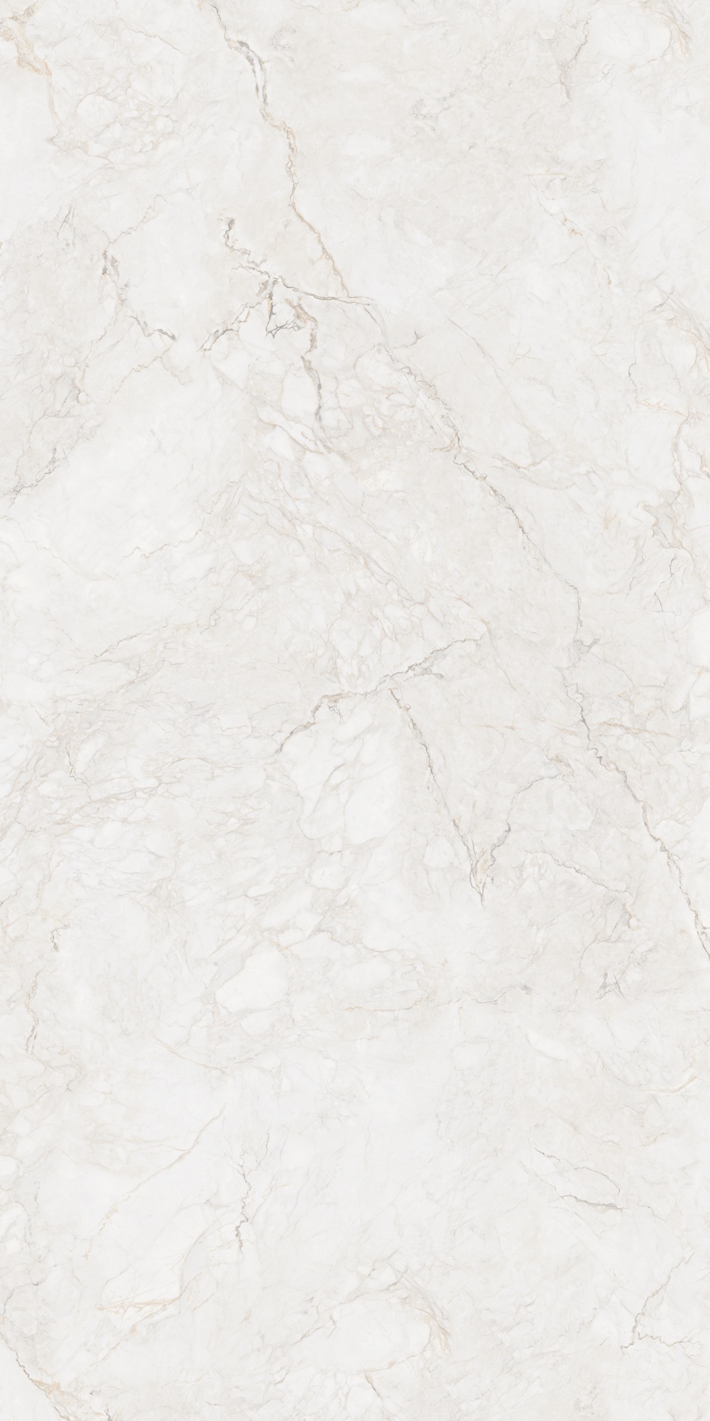 ROMANO PEARL 240 Slab for Wall, Floor — Somany MAX LINE collection