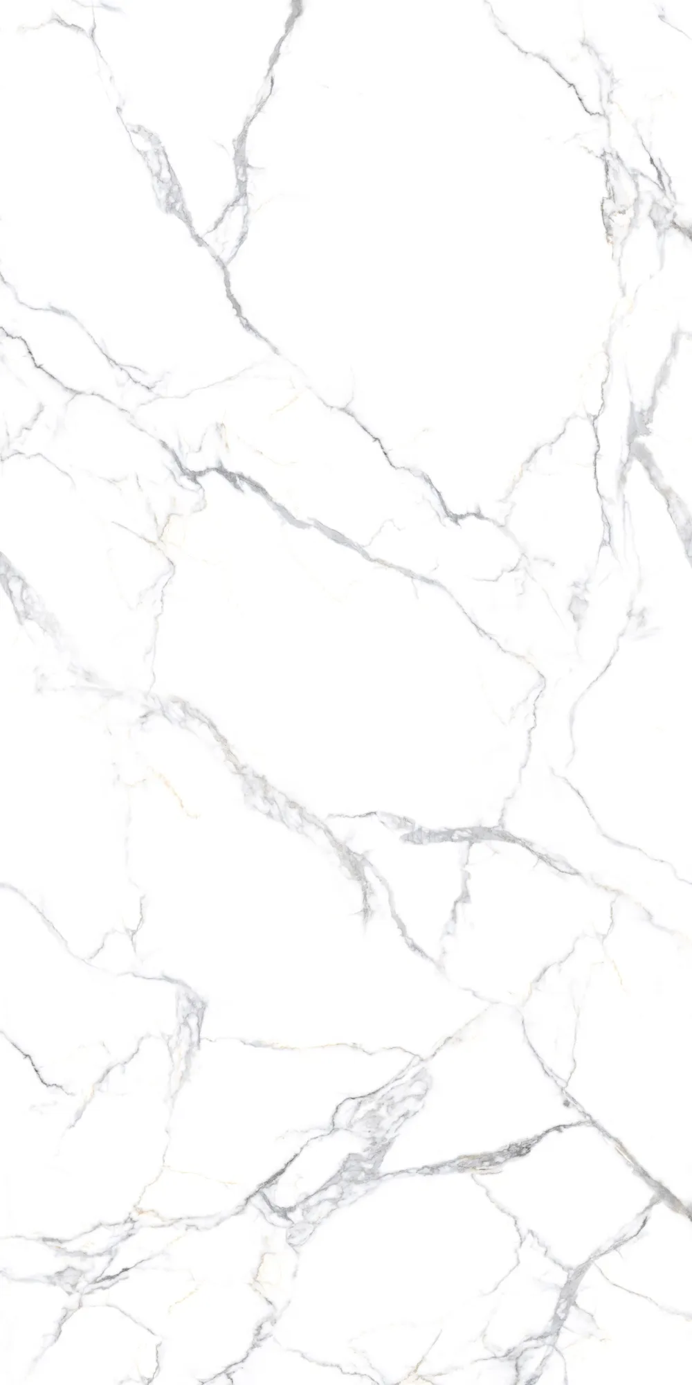 STATUARIO BRANCA 240 SLAB for Wall, Floor — Somany MAX LINE collection