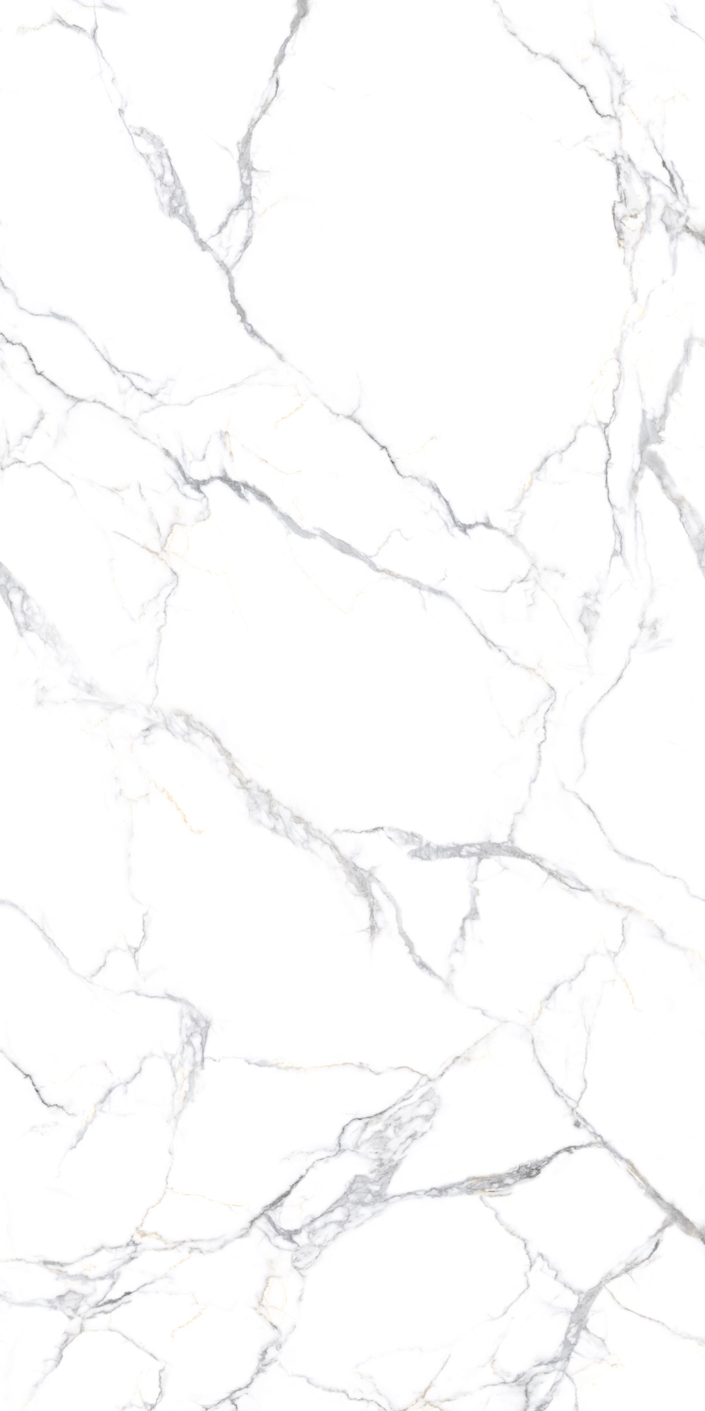 STATUARIO BRANCA 240 Slab for Wall, Floor — Somany MAX LINE collection