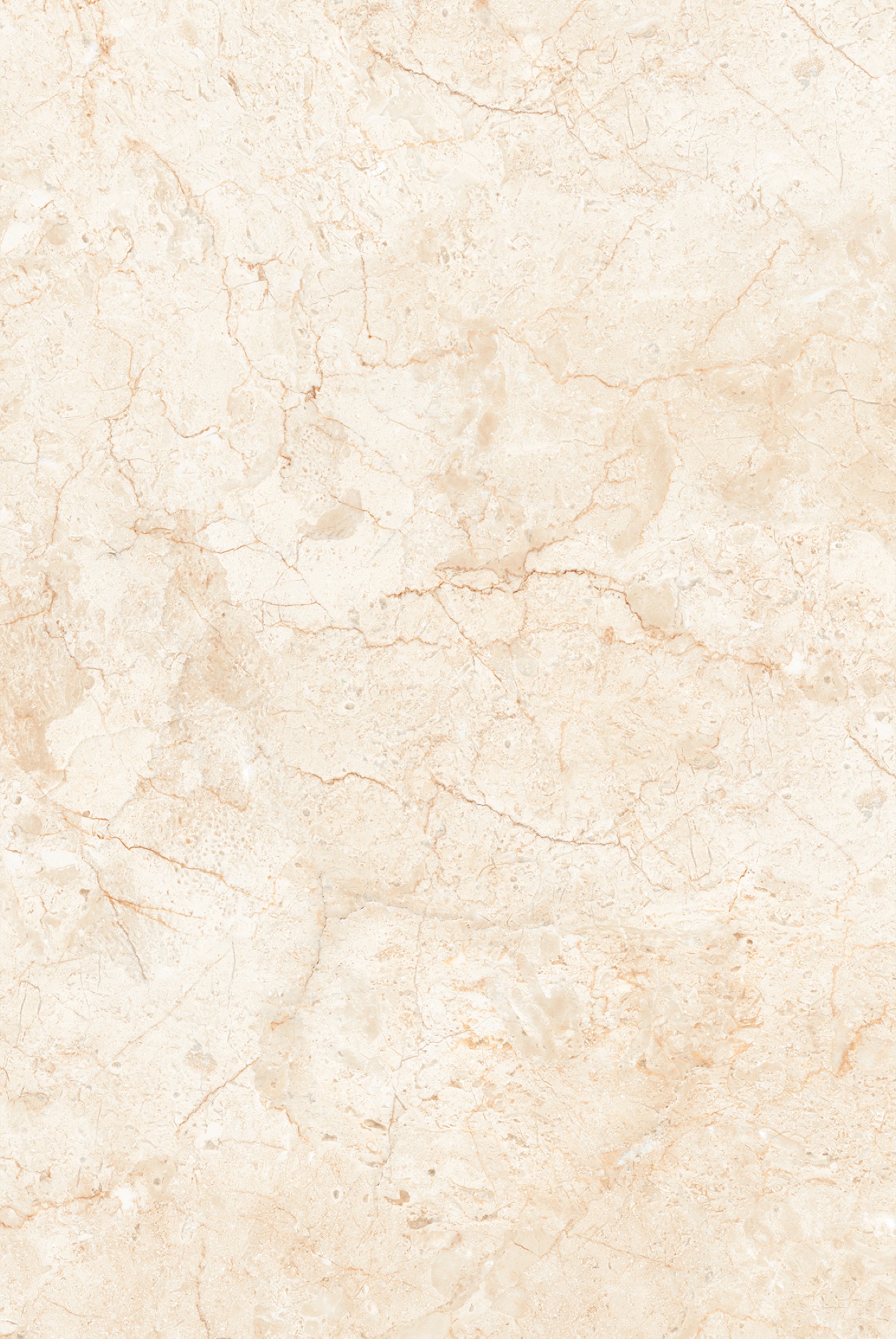 MAX 180 SCALEA BEIGE FP