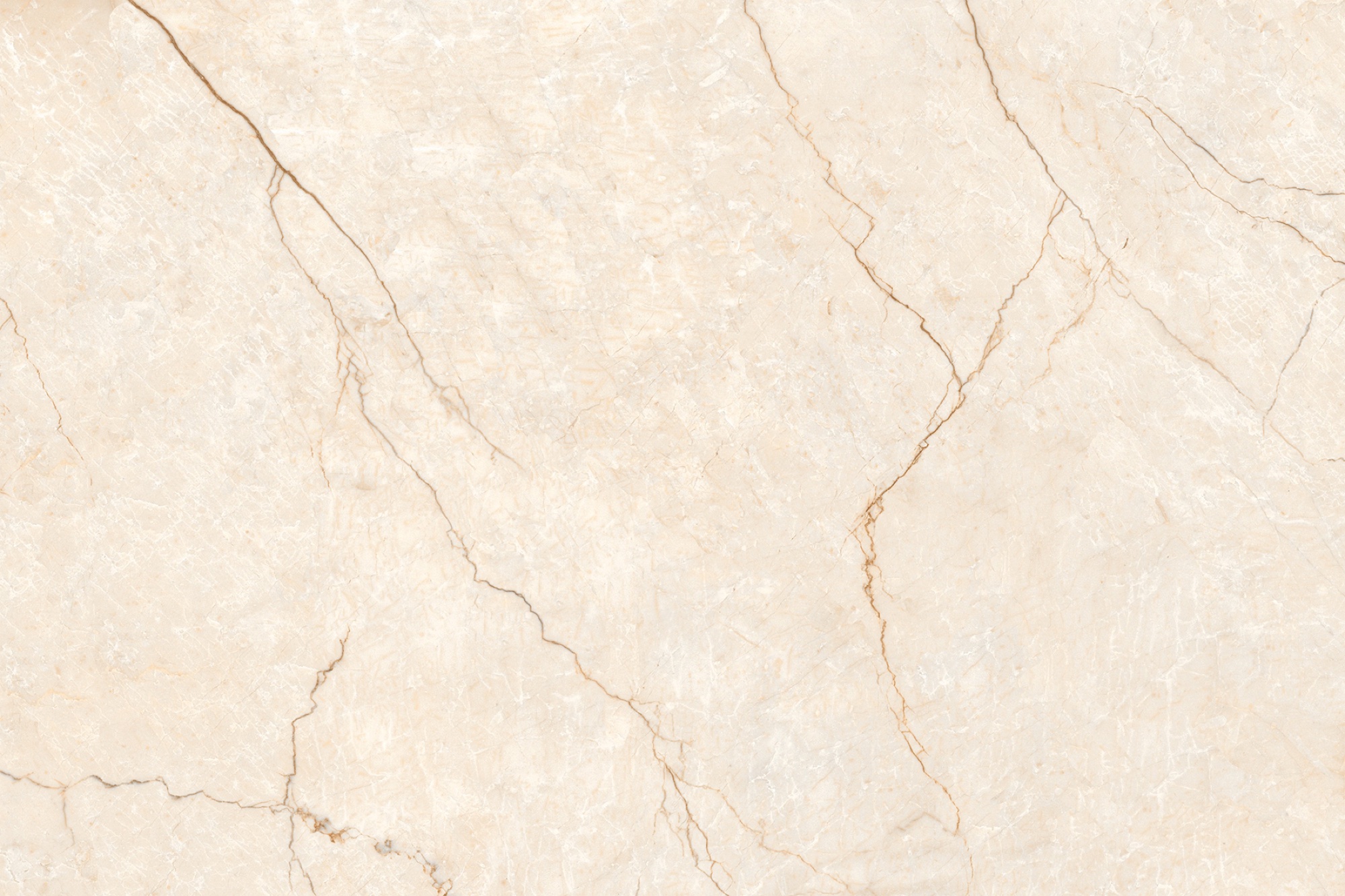 MAX 180 IMPRESSION PARSION BEIGE
