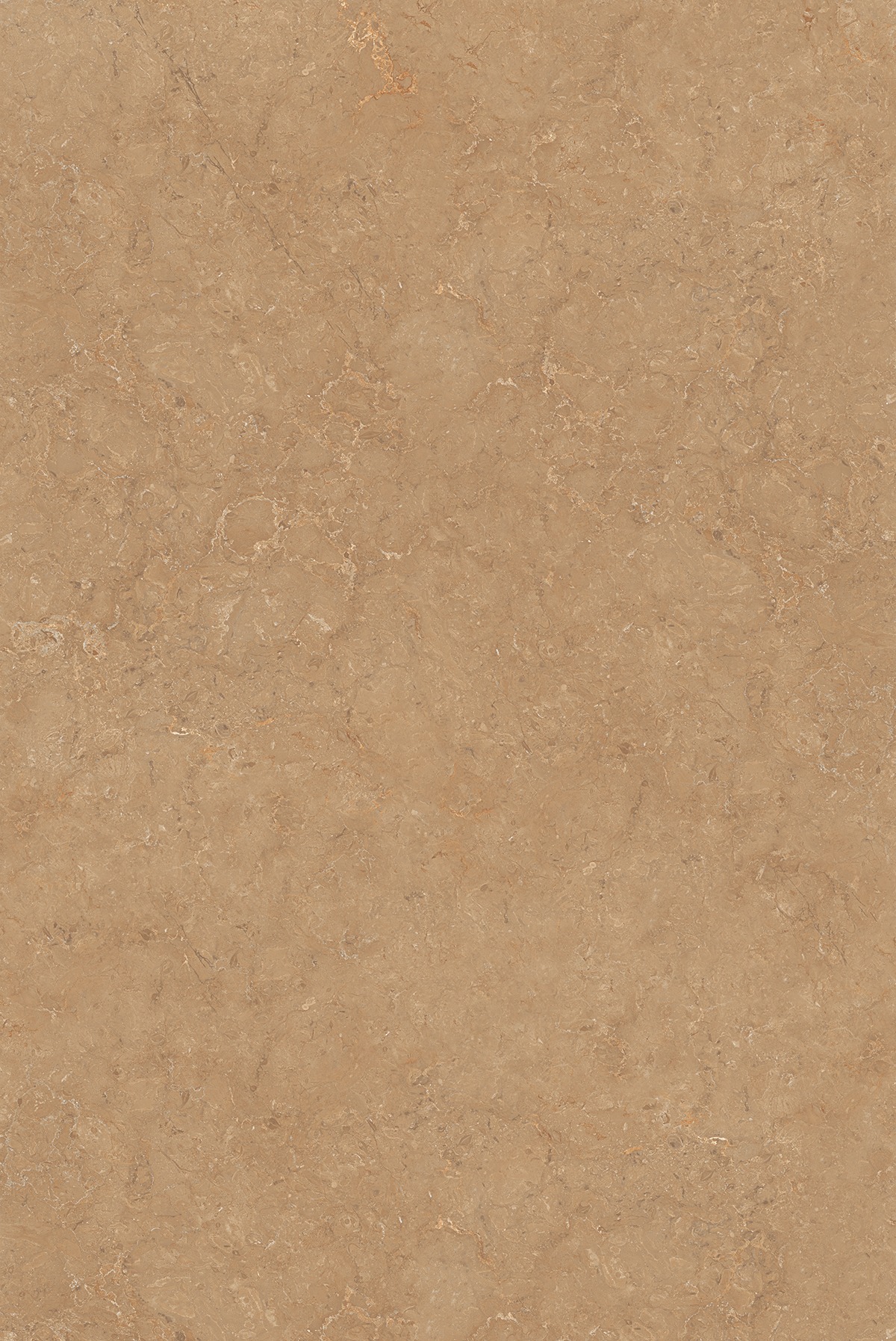 MAX 180 PARISO BROWN FP