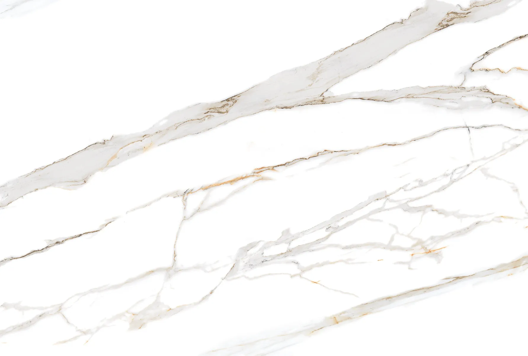 BELLAZIO GOLD 180 FP V2 tiles for Wall, Floor — Somany REGALIA collection