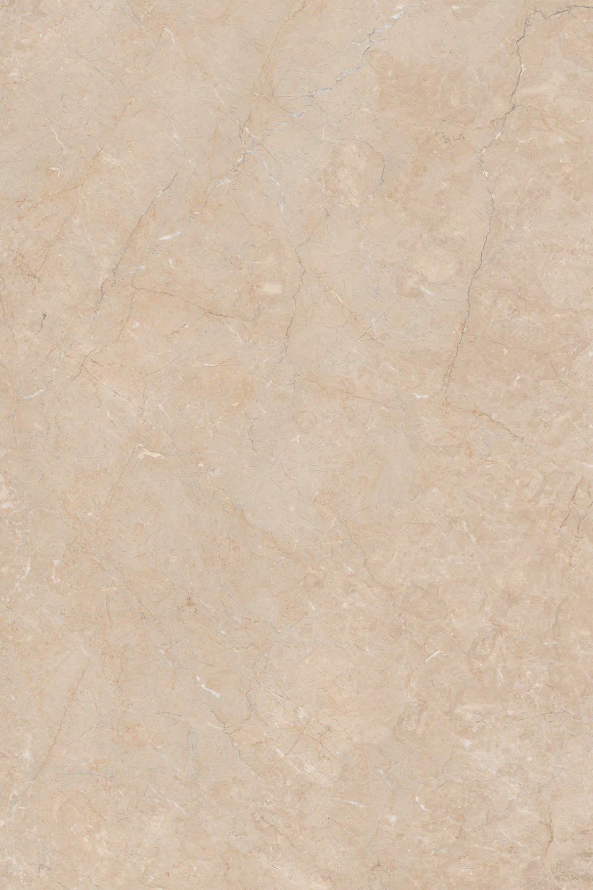 EXTERNA BEIGE 180 FP V3
